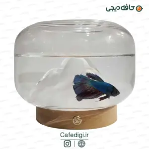 Lampshade-fish-aquarium-5