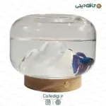 Lampshade-fish-aquarium-6