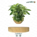 Levitating-Plant-Rotating-Plant-Pot-17