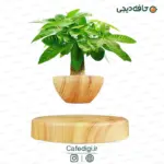 Levitating-Plant-Rotating-Plant-Pot-21