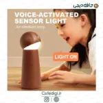 GOOD-Voice-Activated-Sensor-Light-29