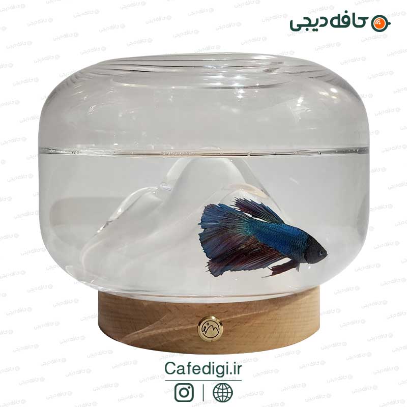 Lampshade-fish-aquarium-1